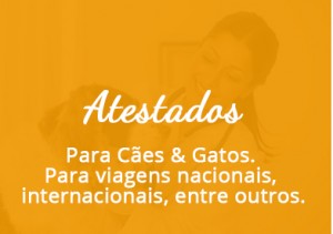 atestados